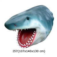 HAJ HUVUD 140 CM 