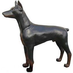 Doberman 67 cm