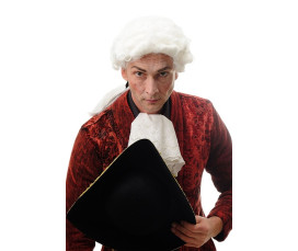 Barockperuk Herr Vit – Lord & Domare med Lockar