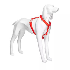 Skyltdocka Hund - Tysk Korthårig | Stående, Mattvit