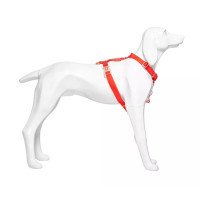 Skyltdocka Hund - Tysk Korthårig | Stående, Mattvit