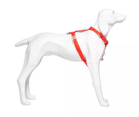 Skyltdocka Hund - Tysk Korthårig | Stående, Mattvit